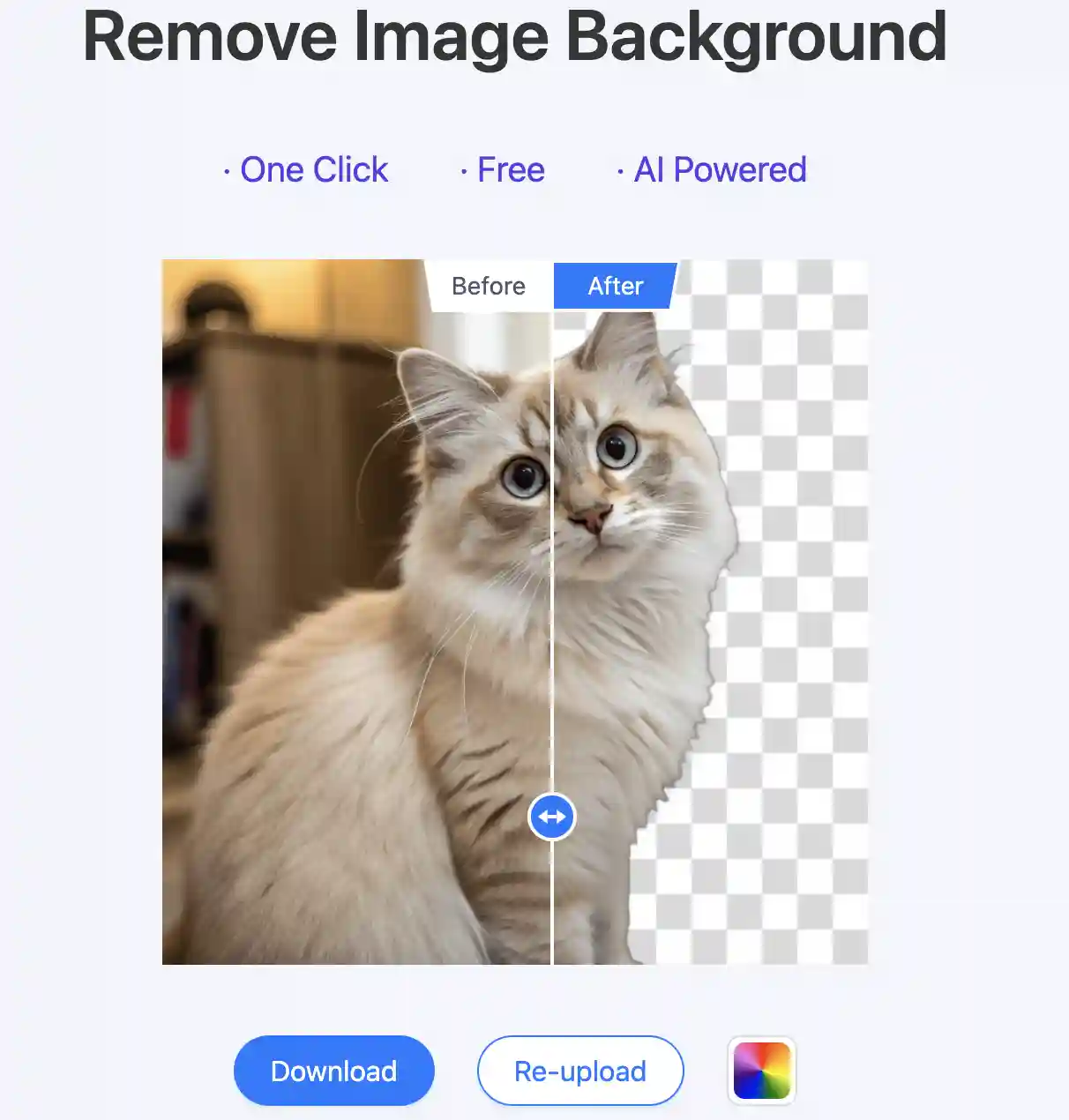 Cat photo before and after background removal demonstration